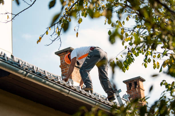Best Roof Restoration Services  in Pardeeville, WI