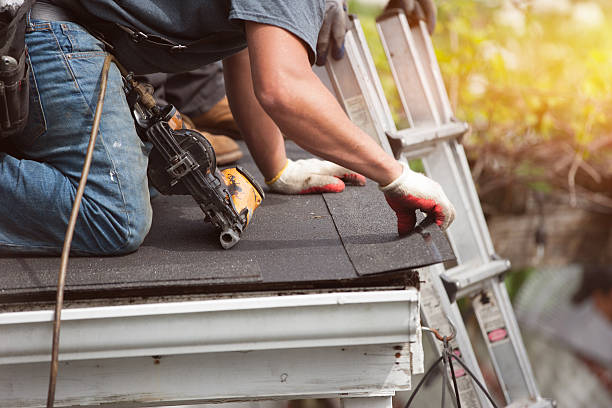 Professional Roofing Contractor in Pardeeville, WI