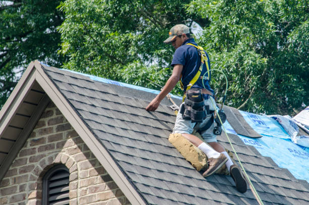 Best Roof Maintenance Services  in Pardeeville, WI